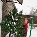 ���� �������, �������, 40 ��� - ��������� 8 ��� 2025 � ������ ���� ����������