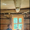 ���� �������, ������, 54 ���� - ��������� 5 ������� 2024 � ������ ���� ����������