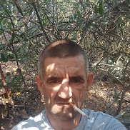 ���������, 40 ���, ������