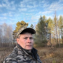 �����, 40 ���, ������