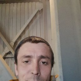 , 32, 
