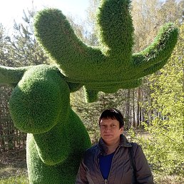 , 53, 