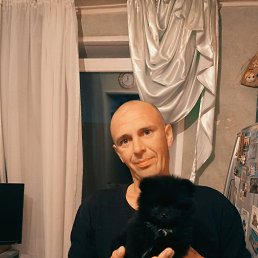 ������, 41 ���, ������