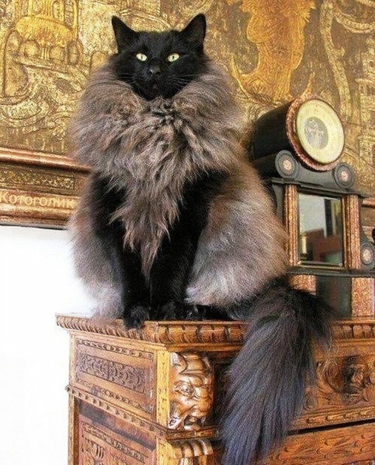   ...)