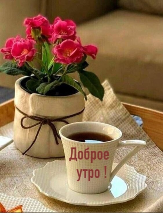   - 23  2024  12:29