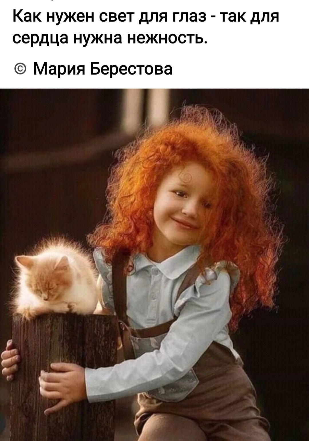 *T* - 24  2023  21:01