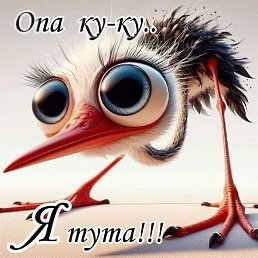  Serka,  -  10  2025