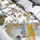 ���� Alevtina, ����� - ��������� 30 ������ 2025 � ������ ���� ����������