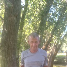 , 41, 