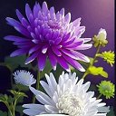 ���� ���������, ����, 61 ��� - ��������� 26 ������� 2023 � ������ ���� ����������