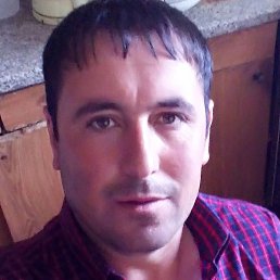 �����, �����-���������, 40 ���