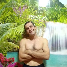 ������, ������, 37 ���