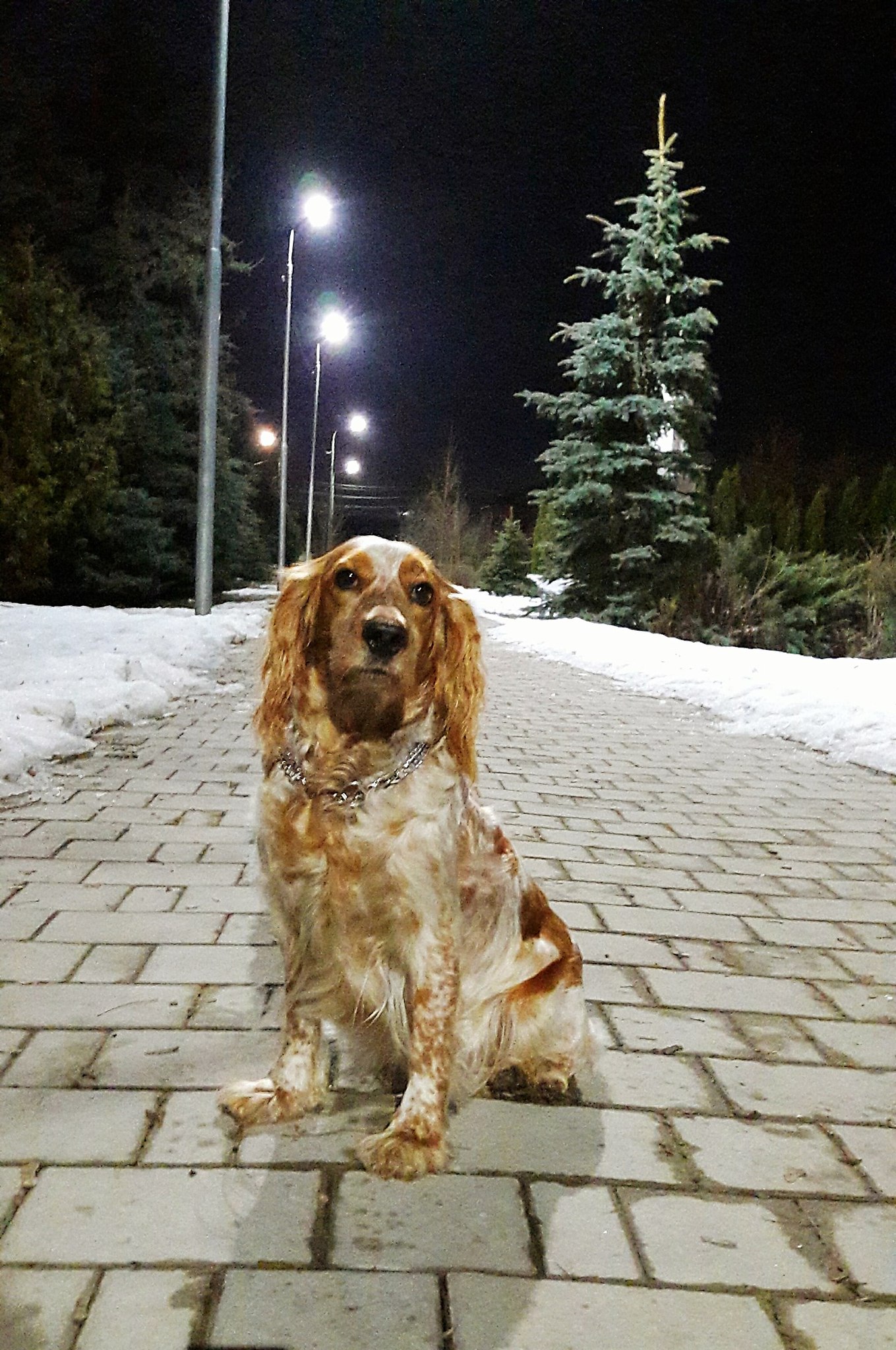 **** - 13  2025  11:45