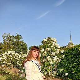 �������, �����-���������, 41 ���