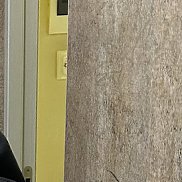 ������, 19 ���, �����������