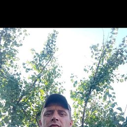 , 31, 