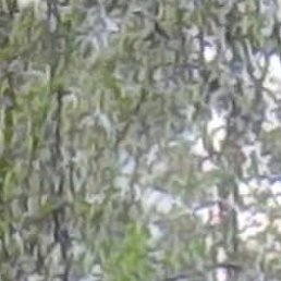 , , 54 