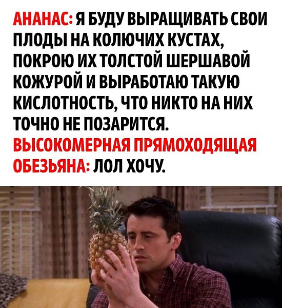  -   - 3