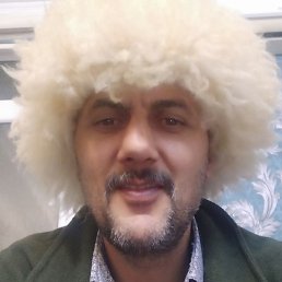 ����, ������, 41 ���