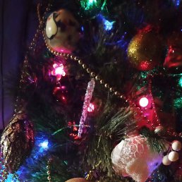 ���� ��������, ������, 55 ��� - ��������� 22 ������� 2023