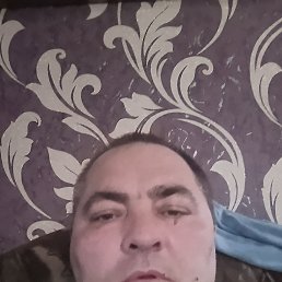 , 41, 