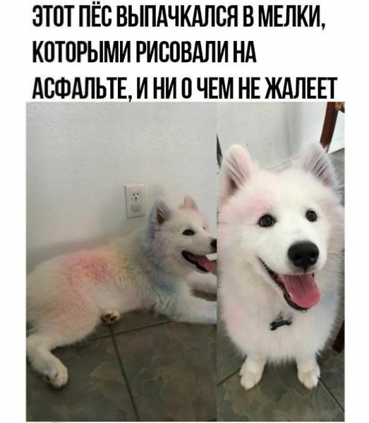�� ���� ������� �����!