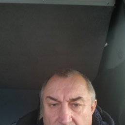 , 61, 