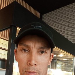 ���� ****___&&&&, �����, 41 ��� - ��������� 20 ������� 2024