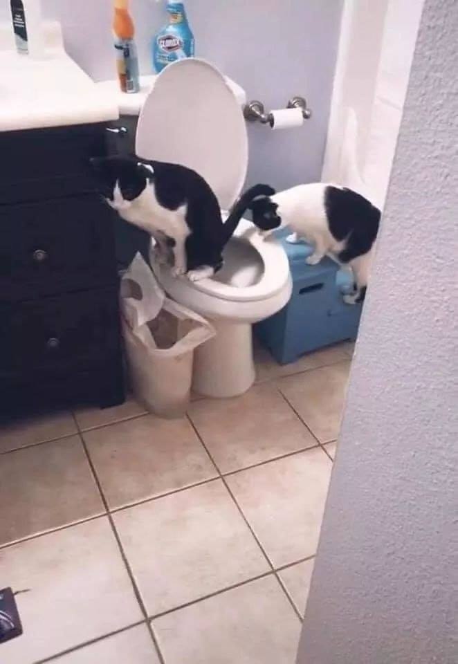 �� ����������