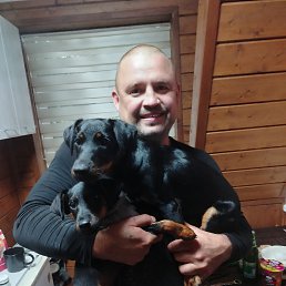 �������, 40 ���, �������