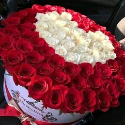 ������., �����, 41 ���