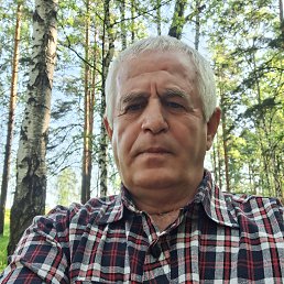 , 61, 