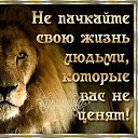 ���� Lev, ������, 35 ��� - ��������� 20 ������� 2025 � ������ ���� ����������