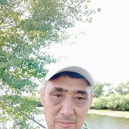 , 55, 