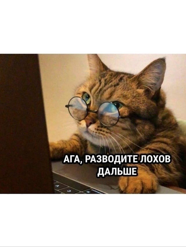 � ����... - 28 ������� 2025 � 11:30 - 2
