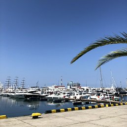 ����, ���������, 42 ����