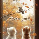 ���� �������, ������ - ��������� 21 �������� 2025 � ������ ������ ��������
