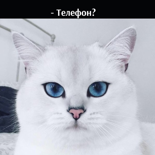 ��� ���� � ����� �� �� - 31 ������� 2025 � 12:30 - 3