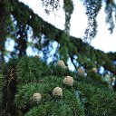 ���� �������, ������, 60 ��� - ��������� 19 ������� 2025 � ������ ����� ������������, ��������