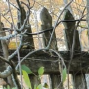 Лина, 42 года, Москва Лина, 42 года, Москва