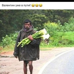 Mycopka, �������, 92 ����