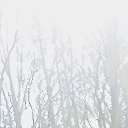 ������, ��������, 33 ����