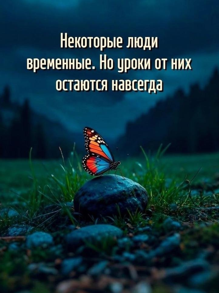 ������� ����� ������� ������ - 20 ��� 2026 � 13:21