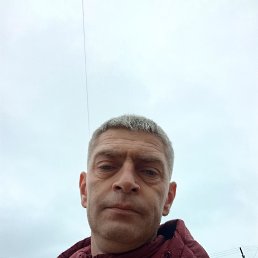 ����, 42 ����, ������