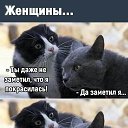 ���� ����, ����������, 58 ��� - ��������� 1 ���� 2025 � ������ ���� ����������