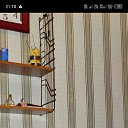 ���� �������, ����, 53 ���� - ��������� 12 ���� 2026 � ������ ���� ����������