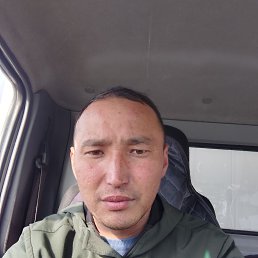 , 36, 