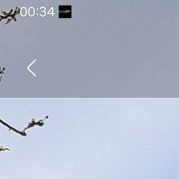 ������, ������, 39 ���