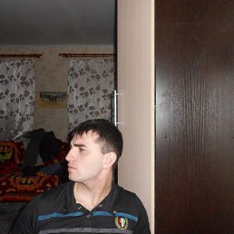 , 29, 