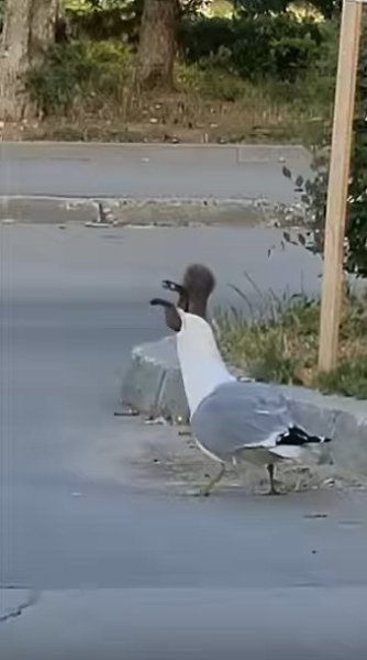 �, ����� ��������� � ����� - 2